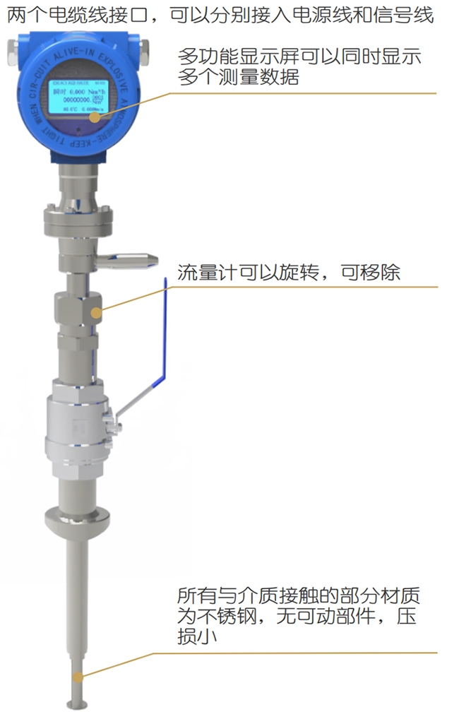 DN50熱式氣體質(zhì)量流量計(jì)結(jié)構(gòu)圖